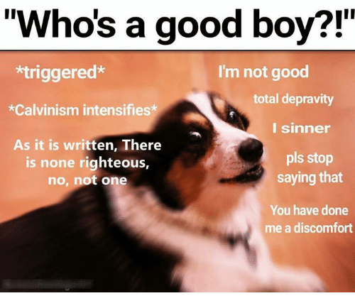 Who’s a good boy?