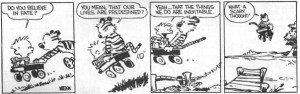 Calvin and Hobbes on Predestination