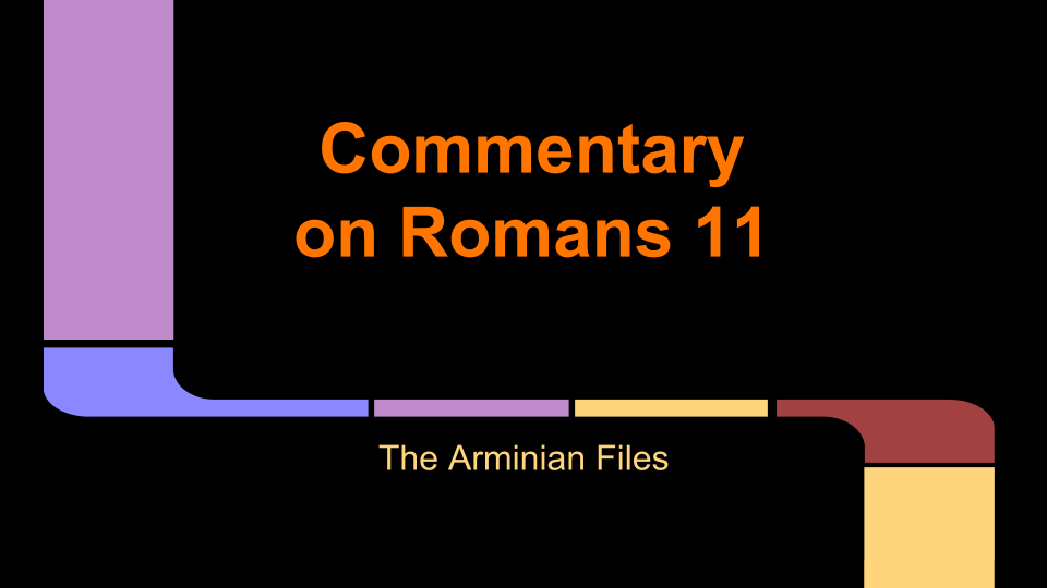 society-of-evangelical-arminians-steve-sewell-commentary-on-romans-11